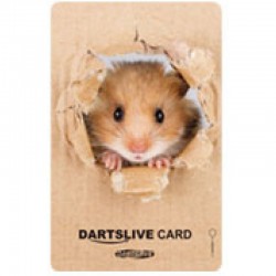 Dartslive Card Series 41 (01)
