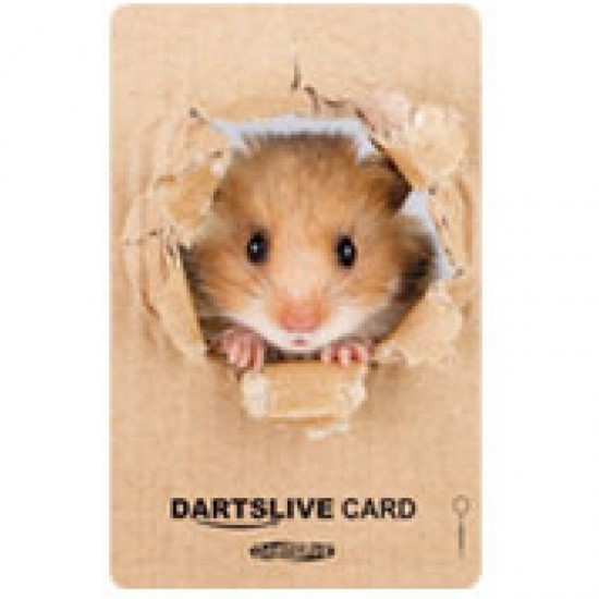 Dartslive Card Series 41 (01)