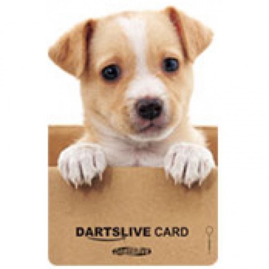 Dartslive Card Series 41 (11)